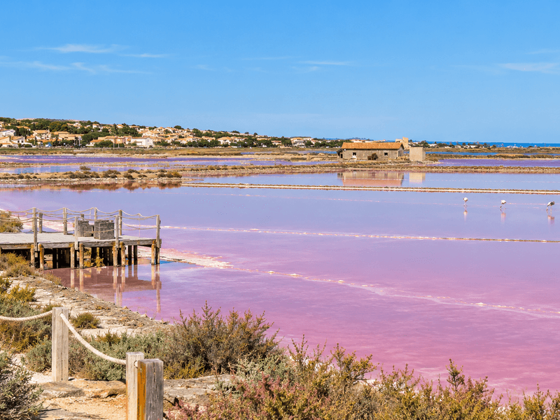 Salinas rosadas de Gruissan con pasarelas de madera, aves y el paisaje mediterráneo de la isla Saint-Martin