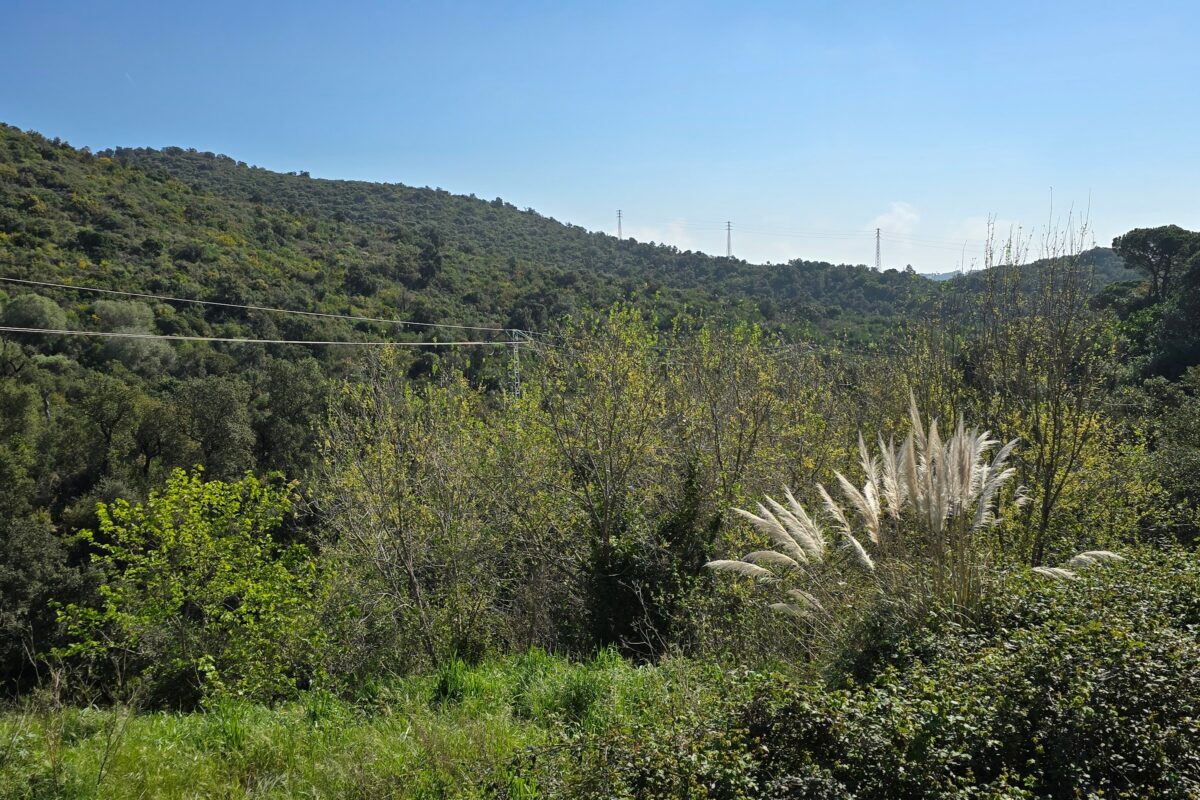 Ready-to-Build Villa Project in Mas Nou – Luxury Meets Nature