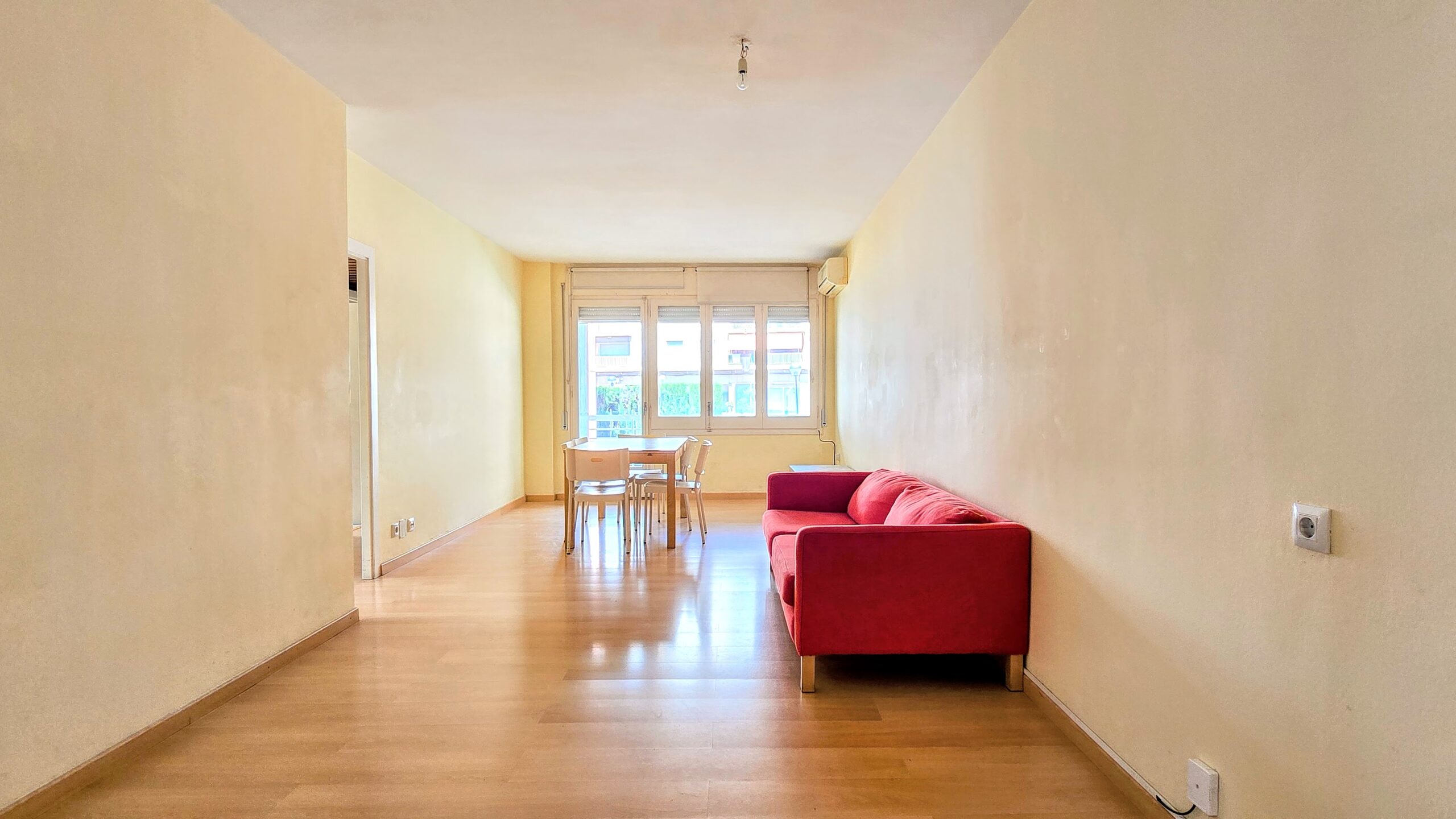 20250414_135229-EDIT