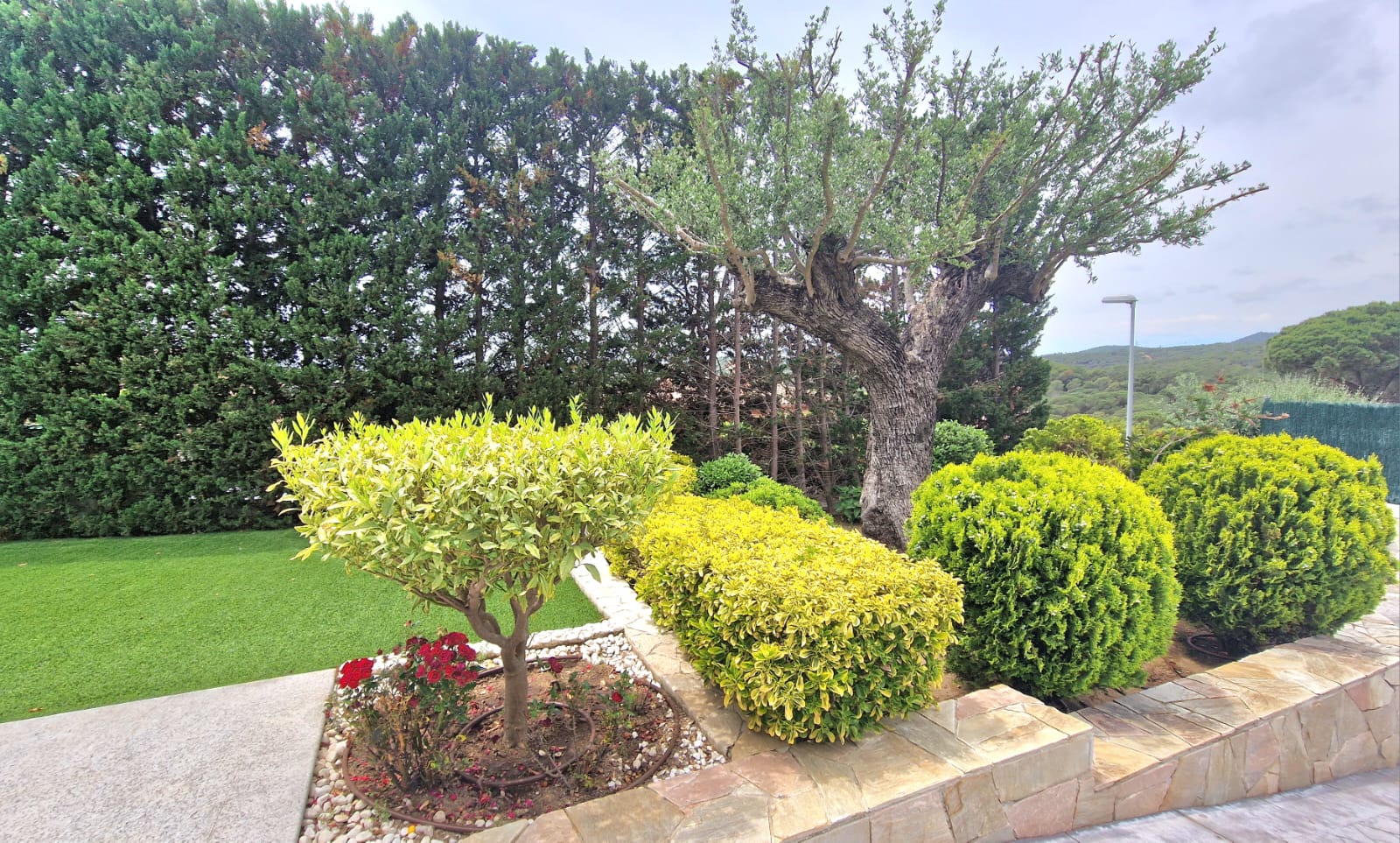 30356_haruco_lloretmania_19